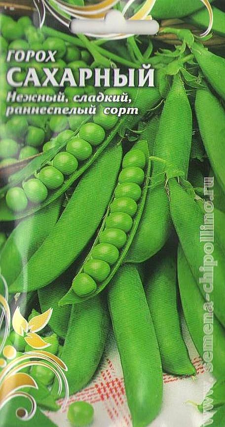 Горох Сахарный Чиполлино
