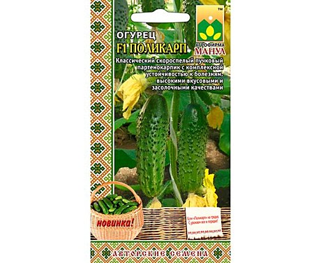 О Поликарп Манул 