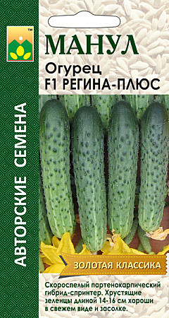 О Регина-плюс  Манул 