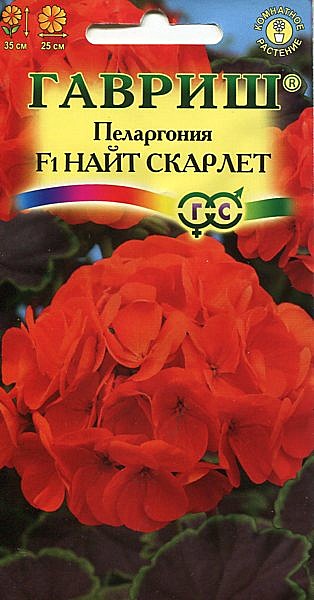 Ц Пеларгония Найт Скарлет  Гавриш