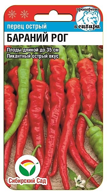 П Бараний рог острый Сиб сад