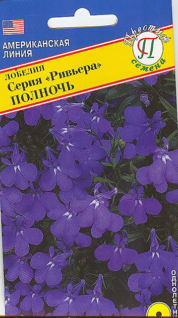 Ц Лобелия Ривьера Полночь Престиж