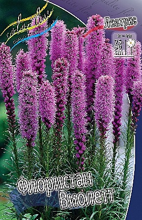 0674 Лиатрис Флористан виолетт 5шт (1шт)