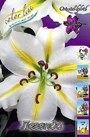 1568 Лилия Легенда вост 5шт/1шт/