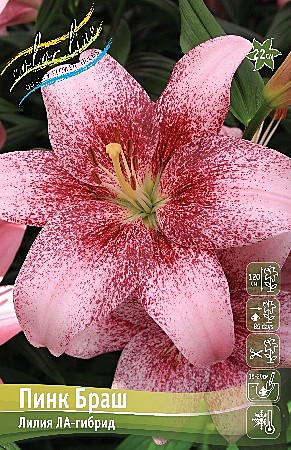 4538 Лилия Пинк Браш ла 5шт (1шт)