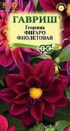 Ц Георгина Фигаро фиолетовая Гавриш