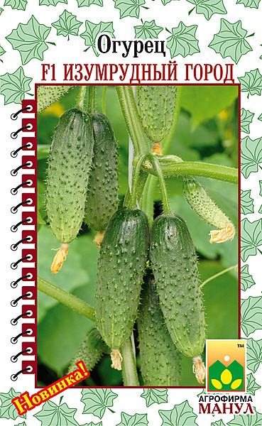 О Изумрудный город Манул 