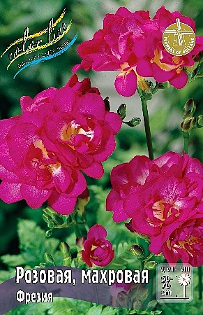 4673 Фрезия Розовая махр. 10шт (1шт)