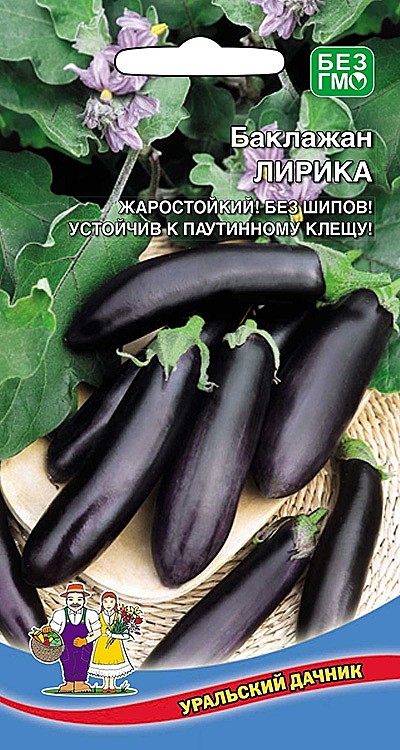 Б Лирика УД