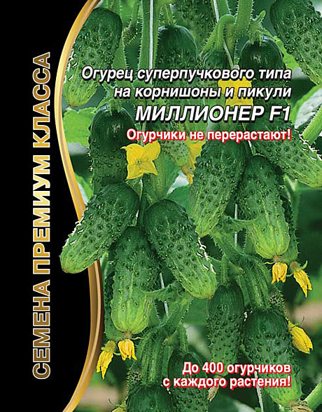 О Миллионер УД