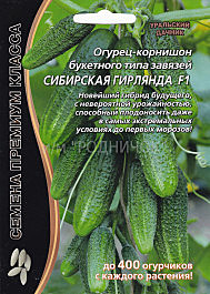 О Сибирская Гирлянда УД