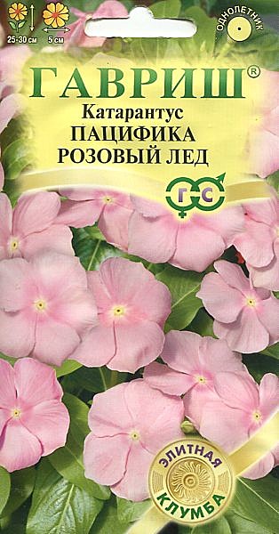 Ц Катарантус Пацифика Розовый лед Гавриш