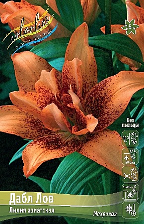 0539 Лилия Дабл Лов аз 5шт/1шт