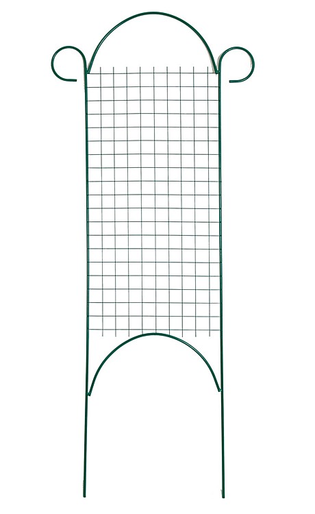 8226 Глад Аврора 8шт/1шт