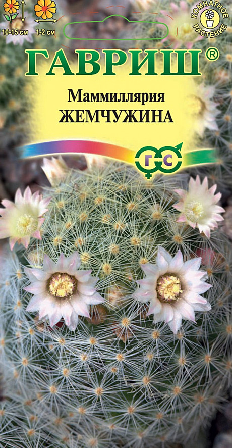 Ц Маммиллярия шейдвелардиана (Кактус) Жемчужина Гавриш