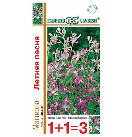 Ц Маттиола Летняя песня Гавриш 1+1