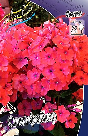 7965 Флокс Спитфайер 2шт/1шт
