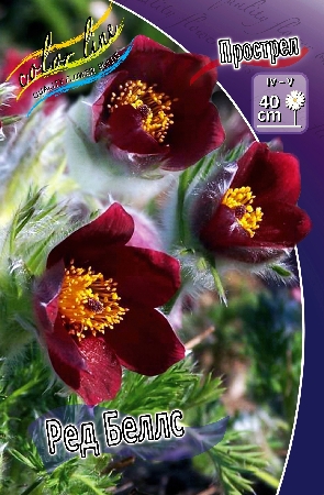 Изображение товара