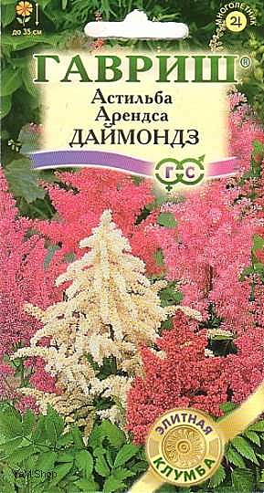Ц Астильба Арендса Даймондз Гавриш