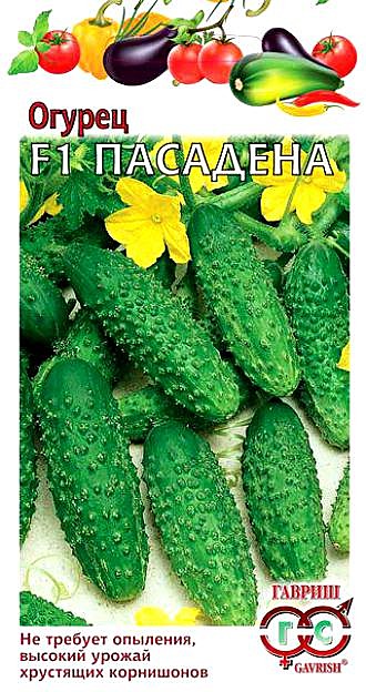 О Пасадена Гавриш 