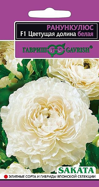 Ц Ранункулюс цветущая долина белая Гавриш