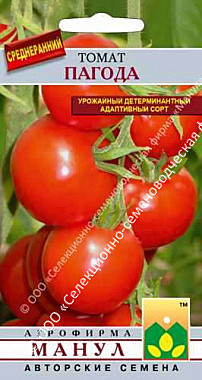 Т Пагода Манул 