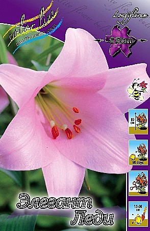 1896 Лилия Элегант Леди лонг 5шт/1шт/