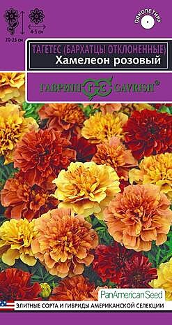 Ц Барх Хамелеон розовый Гавриш