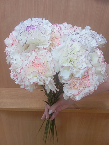 гвоздика высокая 303427 искусств.