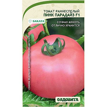 Т Пинк Парадайз Садовита
