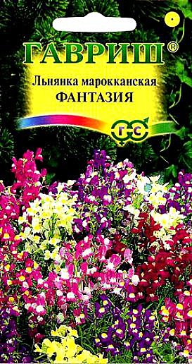 Ц Льнянка марокканская Фантазия Гавриш