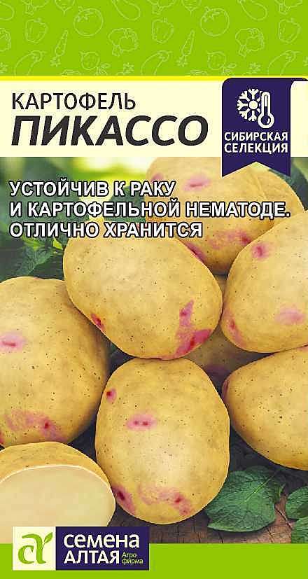 Ф Картофель Пикассо Семена Алтая