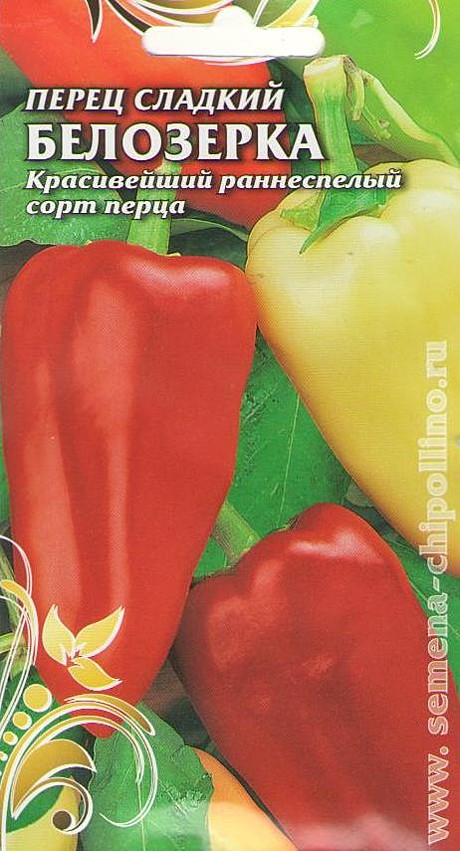 П Белозерка Чиполлино