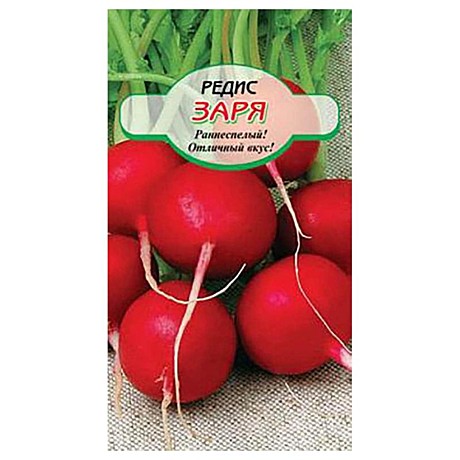 Р Заря Гавриш