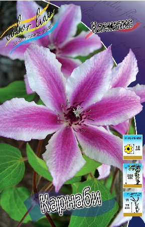 Изображение товара