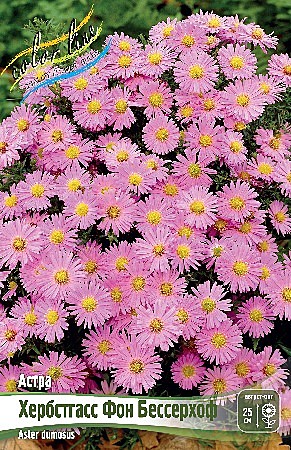 2214 Астра Хербстгасс фон Бессерхоф 1шт