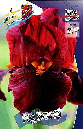 2310 Ирис Ред Зингер германский 1шт