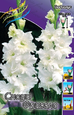 Изображение товара