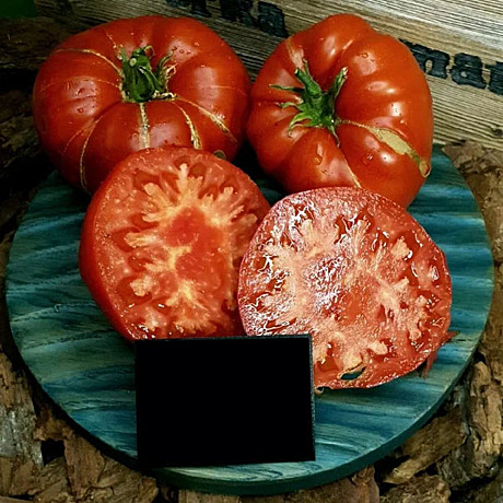 Т Минусинское Воловье сердце 5шт Садовита