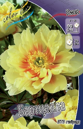 Изображение товара