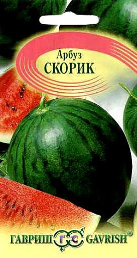 Арбуз Скорик Гавриш 