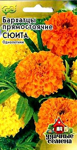 Ц Барх Сюита Уд.с.