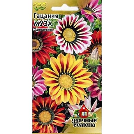 Ц Гацания Муза Уд.с.