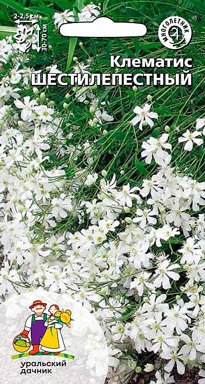 Ц Клематис Шестилепестный УД