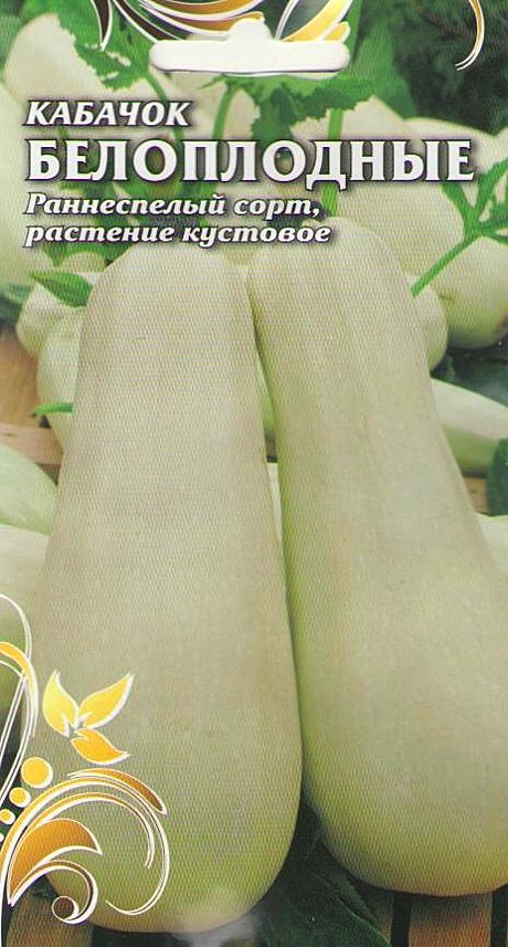 Каб Белоплодный Чиполлино