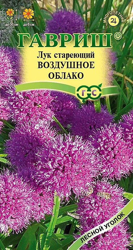 Ц Лук стареющий Воздушное облако Гавриш