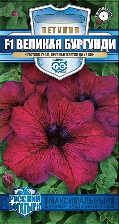 Ц П Великая бургунди Гавриш