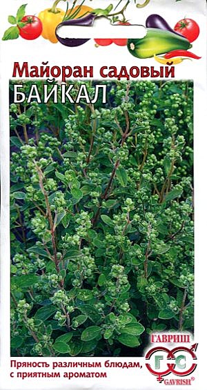 Ф Майоран Байкал  Гавриш