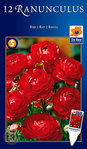 Ранункулюсы (лютики)