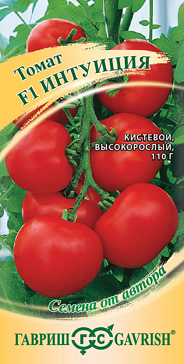 Т ИНтуиция Гавриш